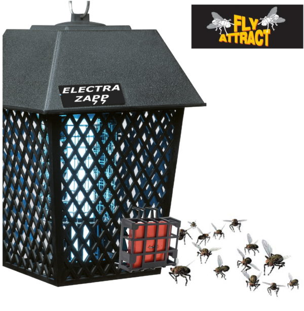 Electric Bug Zapper Blog Bug Zapper Safety Tips Outdoor Bug Zappers